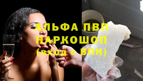 индика Аркадак