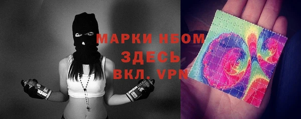 индика Аркадак
