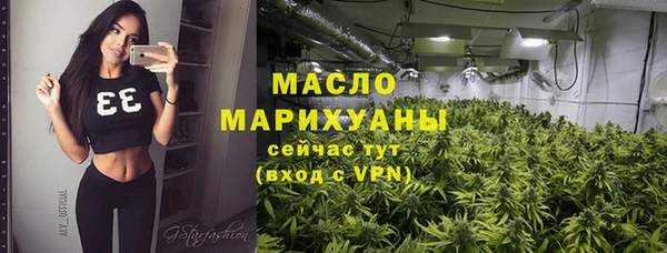 индика Аркадак