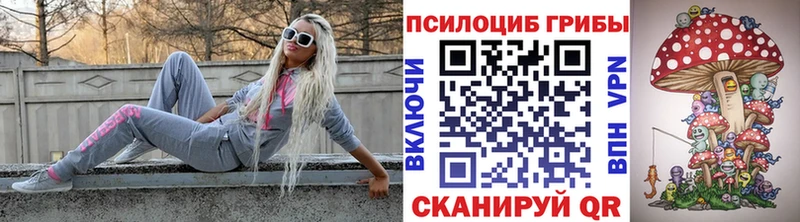 Галлюциногенные грибы Psilocybe  kraken зеркало  Спас-Клепики  дарнет шоп 